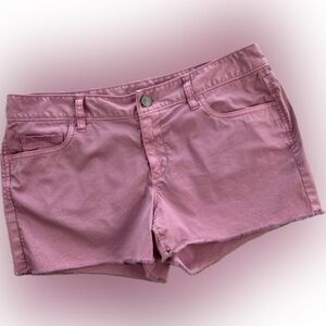 Loft Shorts | Size 2 | Pink | Casual Shorts | Frayed Hem | Free with Purchase
